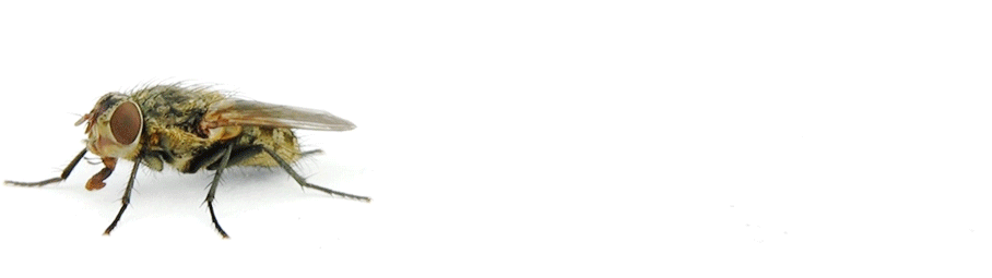 GettyImages-113568807-2