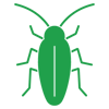 cockroach_green cockroach_green