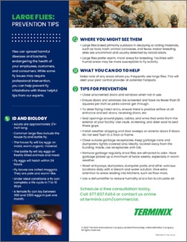 TMX-LargeFlies-TipSheet