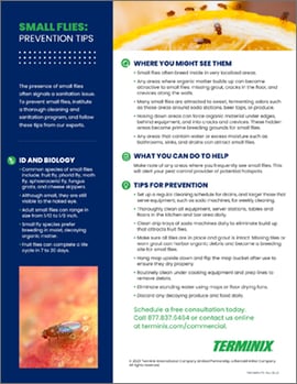 TMX-SmallFlies-TipSheet